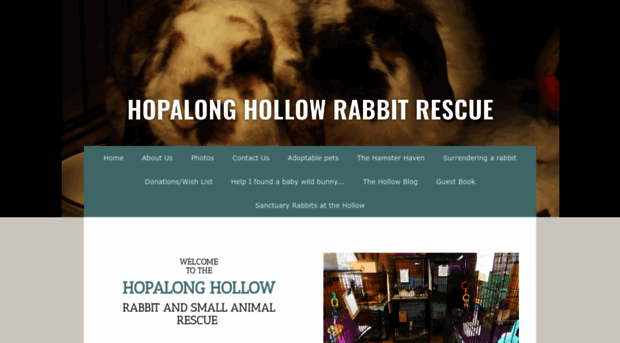 hopalonghollow.org