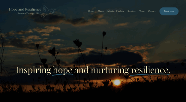 hope-resilience.squarespace.com