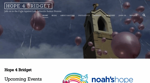 hope4bridget.com