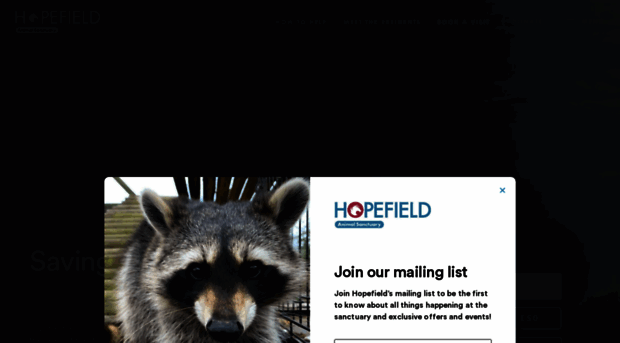 hopefield.org.uk