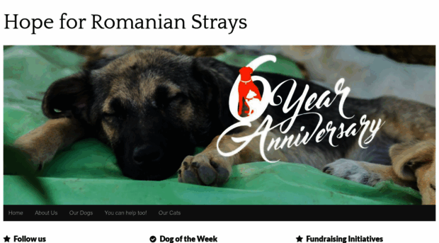 hopeforstrays.com