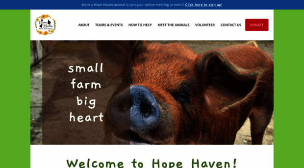 hopehavenfarm.org