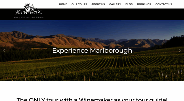 hopngrapetours.co.nz