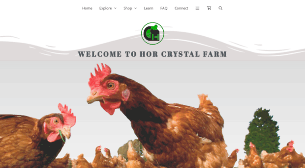 horcrystal.com