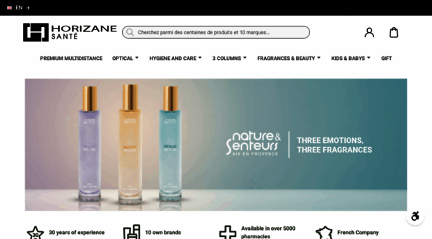 horizane.com