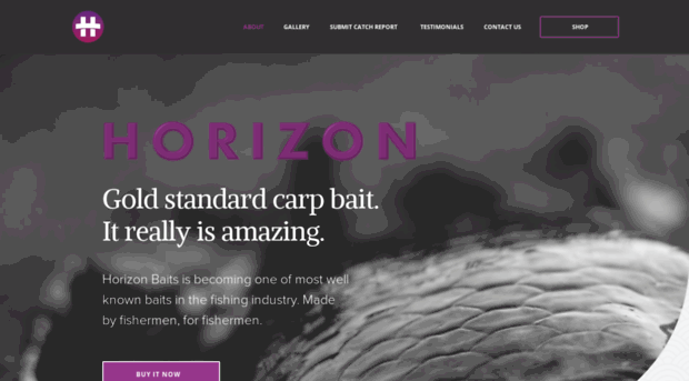 horizonbaits.co.uk