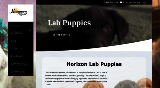 horizonlabpuppies.com