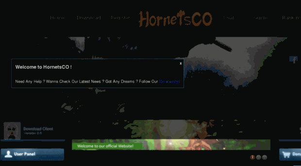 hornetsco.com