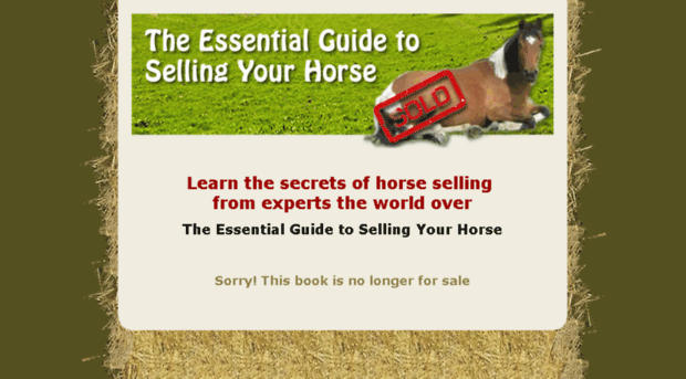 horse-selling-guide.com