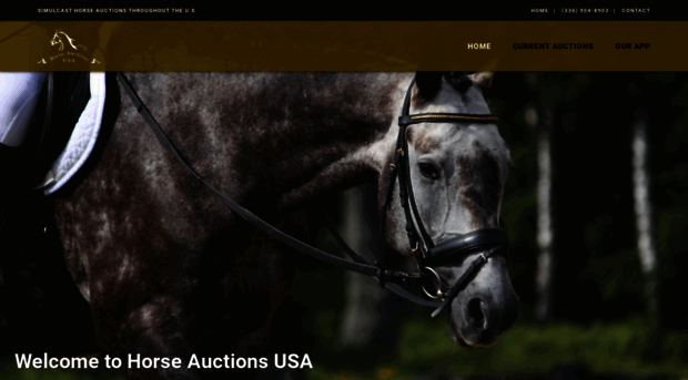 horseauctionsusa.com