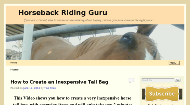 horsebackridingguru.com