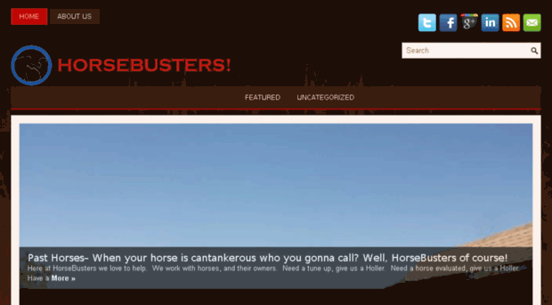 horsebusters.com