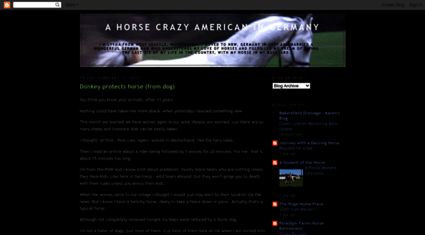 horsecrazyamerican.blogspot.com