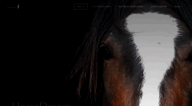 horsedream.de