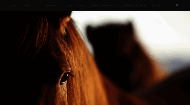 horsefeathersequinecenter.org
