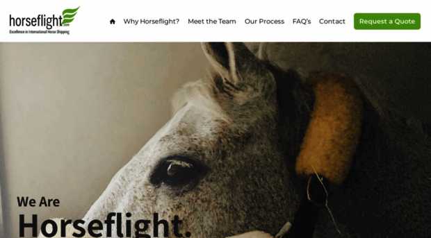 horseflight.com