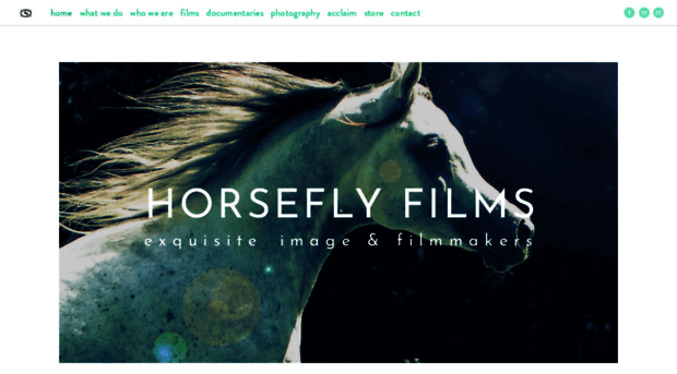 horseflyfilms.com