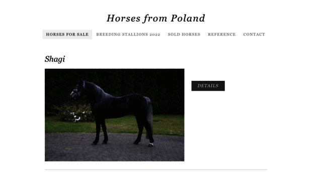 horseforsalepoland.weebly.com