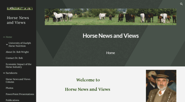 horsenewsandviews.com