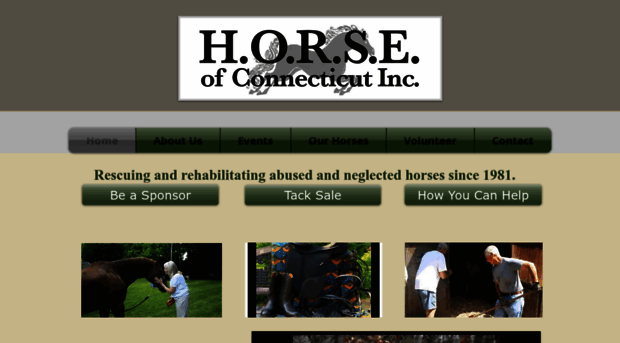 horseofct.org