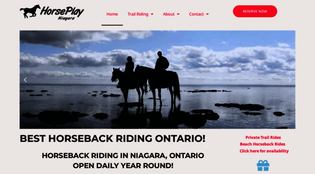 horseplayniagara.com