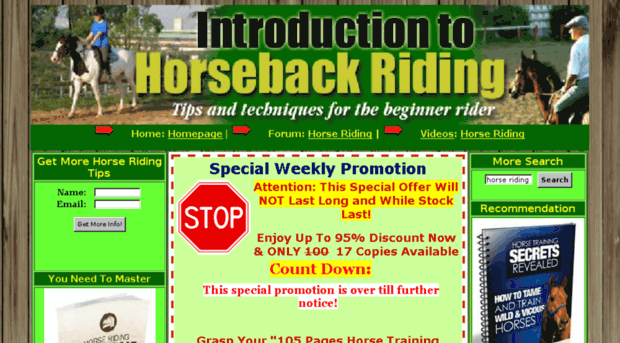 horseridingforsuccess.com