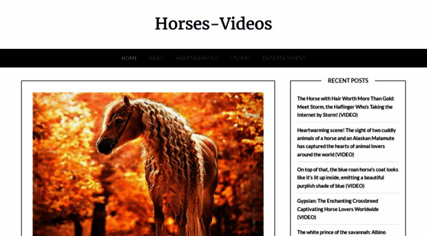 horses-videos.com