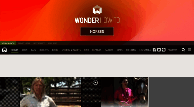 horses.wonderhowto.com