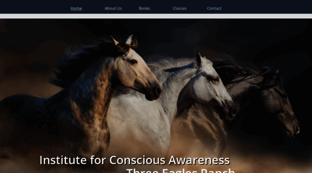 horsesenseandthehumanheart.com