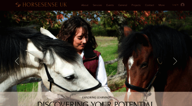 horsesenseuk.com