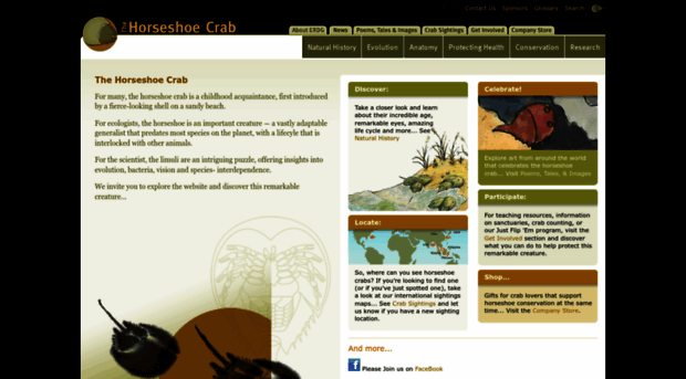 horseshoecrab.org