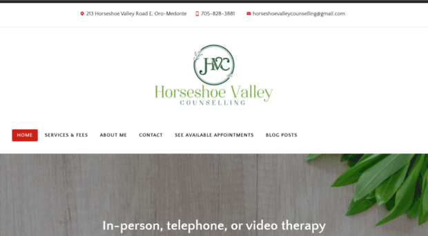 horseshoevalleycounselling.com