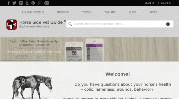 horsesidevetguide.co