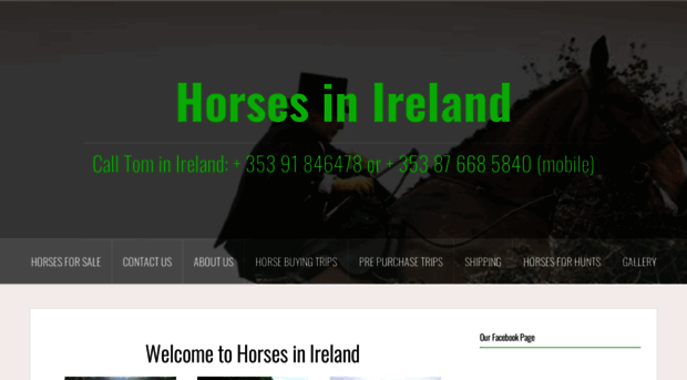 horsesinireland.com