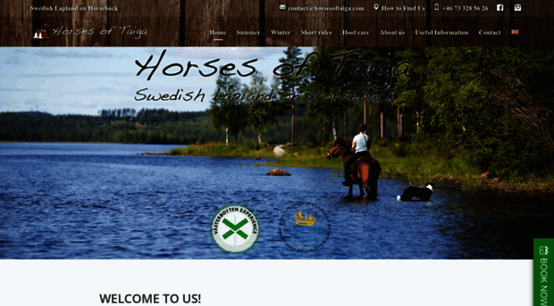 horsesoftaiga.com