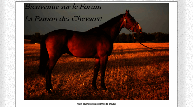 horsespassion.superforum.fr