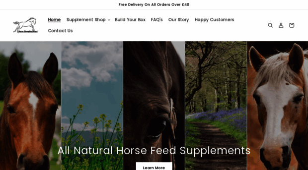 horsestraightsdirect.co.uk