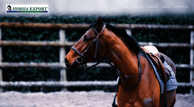 horsiaexport.com