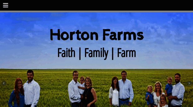 hortonseedservices.com