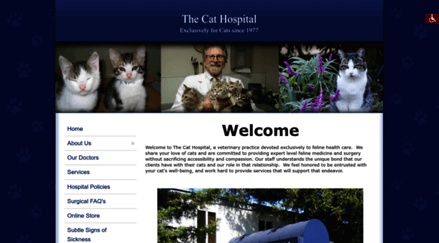 hospital4cats.com