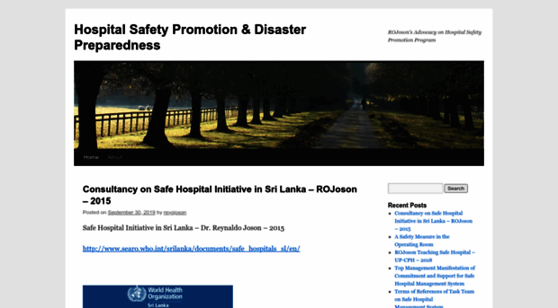 hospitalsafetypromotionanddisasterpreparedness.wordpress.com