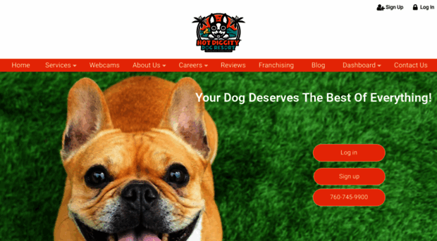 hotdiggitydogresort.com