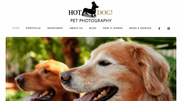 hotdogpetphotography.com