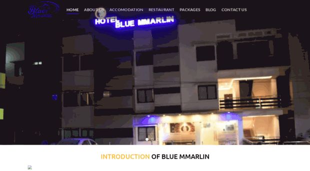 hotelbluemmarlin.com