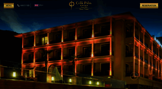 hotelcelikpalas.com