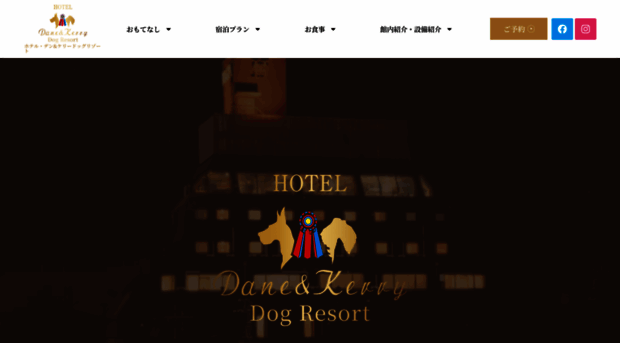 hoteldane-kerry.com