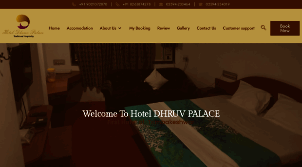 hoteldhruvpalace.com