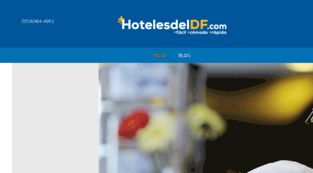 hotelesdeldf.com