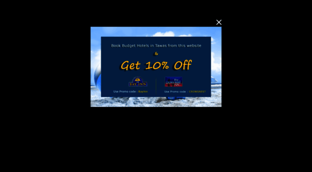 hotelintawascitymi.com