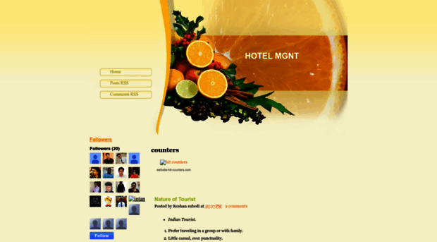 hotelmanagementbusiness.blogspot.com